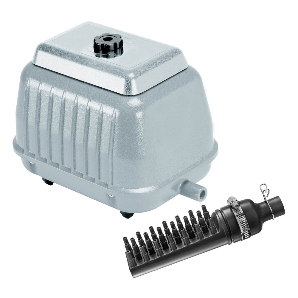How Air Pumps Breathe Life into Your Pond 2